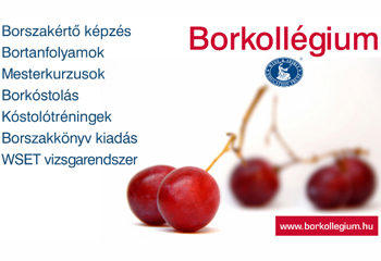 Akciós tanfolyamok a Borkollégiumban Akciós tanfolyamok a Borkollégiumban