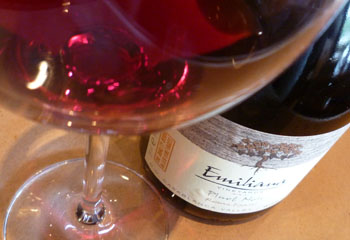 Pinot Noir Emiliana - elegáns bor Chile hűvösebb vidékéről Pinot Noir Emiliana - elegáns bor Chile hűvösebb vidékéről