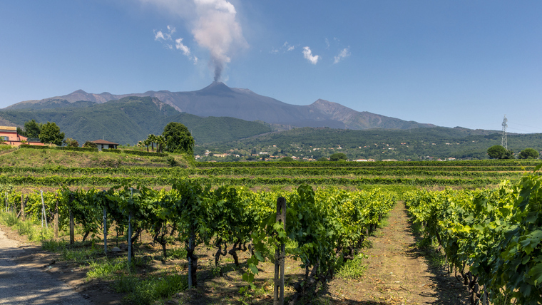 Etna: a Földközi-tenger Burgundiája