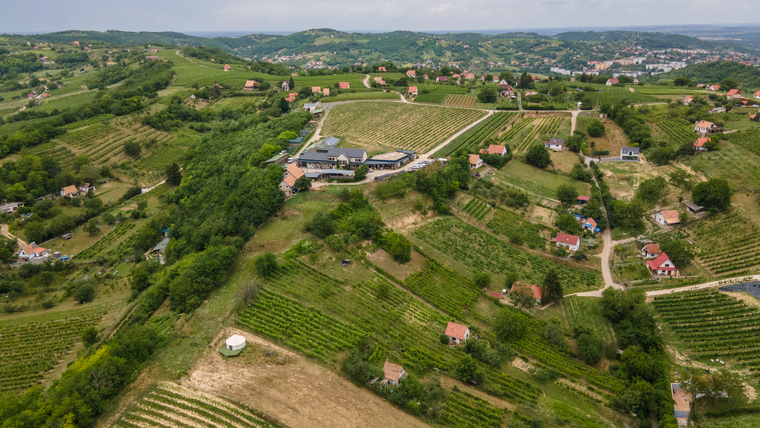 Túlélési kézikönyv a borpiac új korszakához: hitelesség, közelség, minőség Túlélési kézikönyv a borpiac új korszakához: hitelesség, közelség, minőség