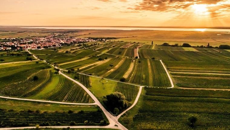 Ezért lett Burgenland a borrajongók egyik kedvence Ezért lett Burgenland a borrajongók egyik kedvence