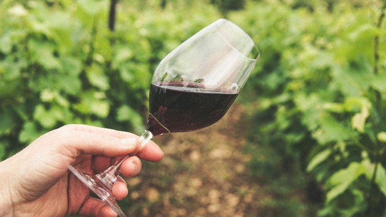 Malbec-mánia: a bor, ami meghódította a világot Malbec-mánia: a bor, ami meghódította a világot
