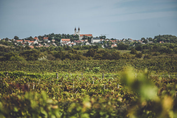 Egészséges talajok, kiváló minőségű és ellenálló szőlő, kivételes terroir borok - Mit ad nekünk a bio(dinamikus) gazdálkodás?