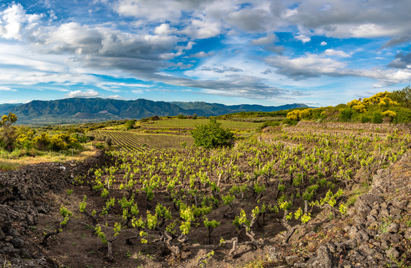 Etna: a Földközi-tenger Burgundiája