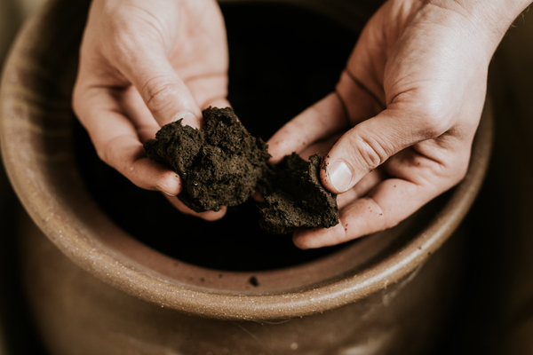 Egészséges talajok, kiváló minőségű és ellenálló szőlő, kivételes terroir borok - Mit ad nekünk a bio(dinamikus) gazdálkodás?